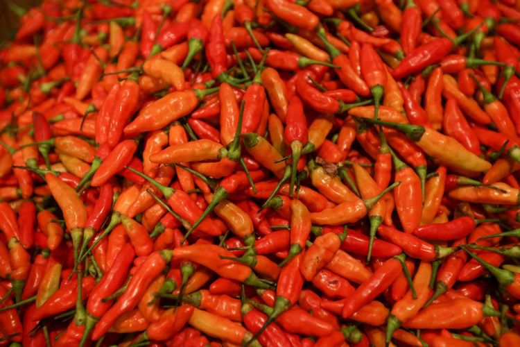 Usai Lebaran, Harga Cabai Rawit Merah di Jateng Tembus Rp 70.000 per Kg