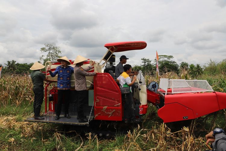 Kepolisian Resor (Polres) Purworejo pada Selasa (28/10/2025) bersama para petani sukses melaksanakan panen raya jagung kuartal III di lahan seluas satu hektare di Desa Kalimiru, Kecamatan Bayan, Kabupaten Purworejo, Jawa Tengah. 