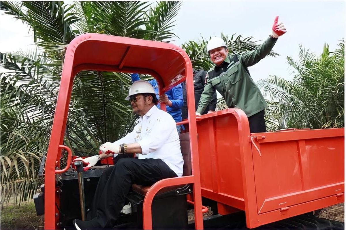 Mentan Syahrul Yasin bersama Gubernur Sumatera Selatan (Sumsel) Herman Deru dalam acara Panen Perdana Kelapa Sawit Program Peremajaan Sawit Rakyat (PSR) di Kebun Kelapa Sawit Desa Bumi Harapan, Kecamatan Teluk Gelam, Kabupaten Ogan Komering Ilir (OKI), Senin (17/7/2023). 
