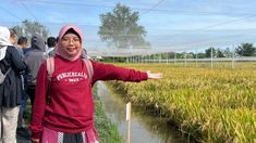 Epidemiolog Unair Sebut Tingkat Kematian Hantavirus 50 Persen, Begini Cara Penularannya