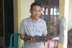 Polisi Penemu Ikan Langka di Minahasa Tak Mau Menjualnya ke Pembeli Luar Negeri