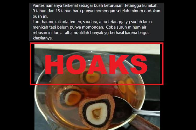 Hoaks, buah zuriat meningkatkan peluang kehamilan