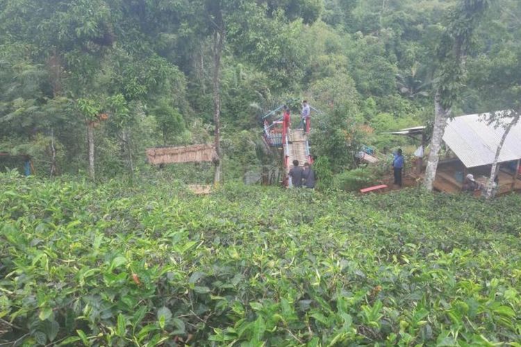 Agrowisata Kebun Teh Disbun Jabar tawarkan panorama alam pengunungan yang masih perawan nan eksotis. AAM AMINULLAH/KOMPAS.com