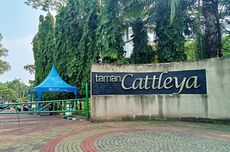 5 Aktivitas di Taman Cattleya Jakarta, Main di Air Mancur dan Piknik