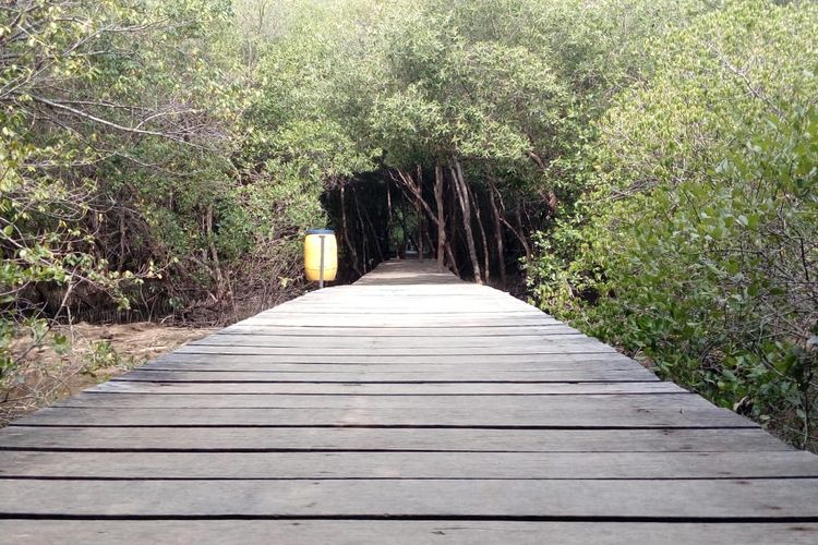 Jembatan kayu yang akan mengajak wisatawan berjalan membelah hutan Mangrove Pantai Glagah Wangi Istambul, Demak, Jawa Tengah.