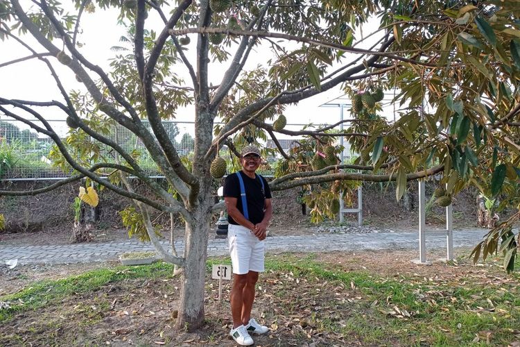 Pemilik Tana Durian, kebun durian musang king di Klaten, Daniel Wijanarko. Ia mempunyai 37 pohon durian aktif di kebunnya.