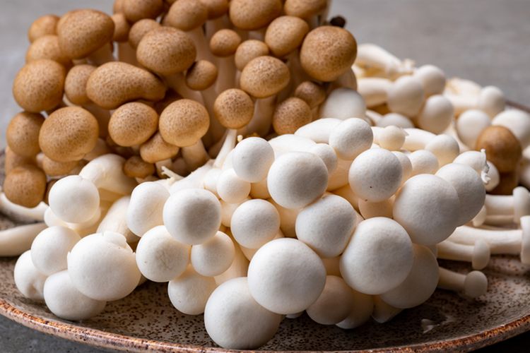 Ilustrasi jamur shimeji.