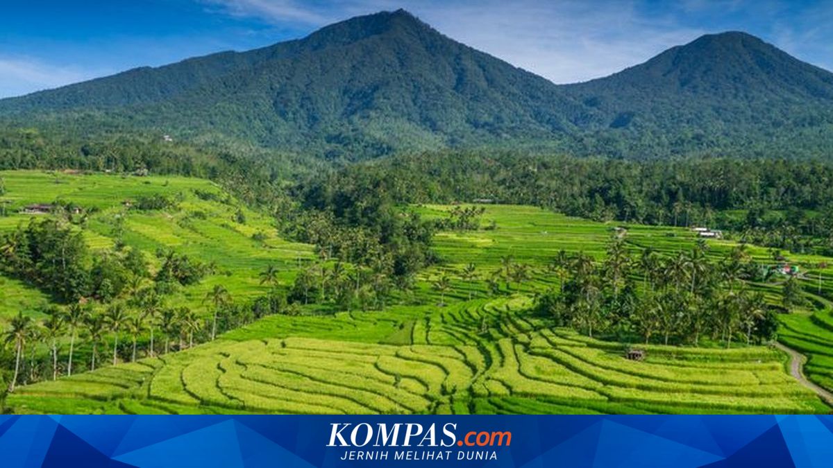 Kunjungan ke Jatiluwih Bali Tembus 1.000 Orang per Hari Saat Libur Sekolah