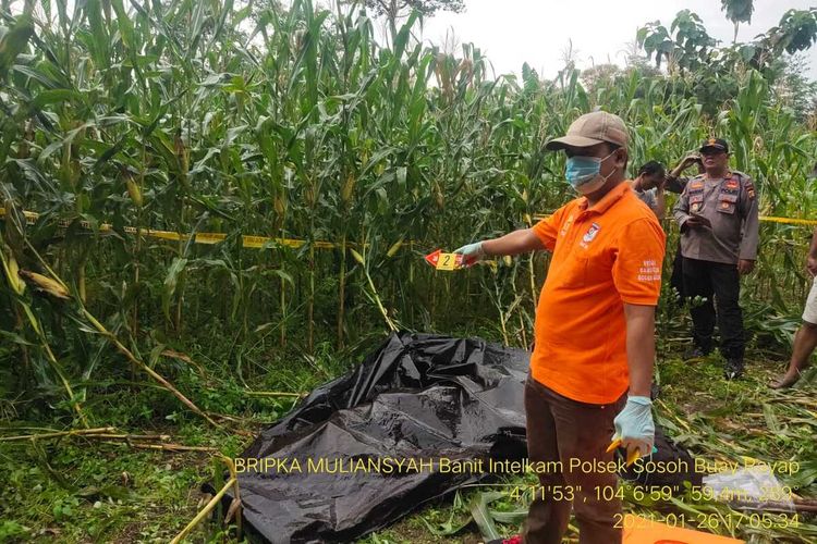 Tim identifikasi melakukan evakuasi jenazah Jamaludin (58) yang ditemukan tewas di perkebunan jagung di Desa Penyandingan, Kecamatan Sosoh Buay Rayap, Kabupaten Ogan Komering Ulu (OKU), Sumatera Selatan, diduga akibat kesetrum jebakan listrik untuk hama babi dan monyet. 