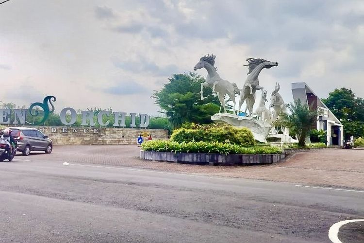 Monyet Ekor Panjang Berkeliaran di Perumahan Malang, Warga Waswas