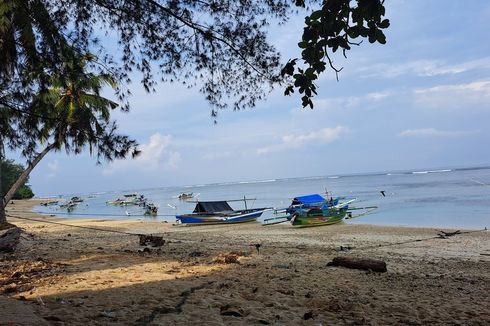 Konservasi Gurita dan Cantiknya Wisata Laut Kaur Bengkulu