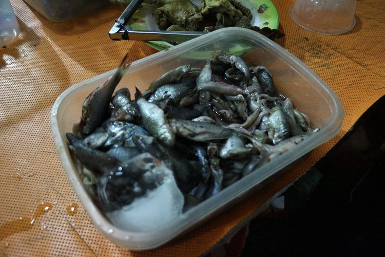 Bahan kuliner khas Mojokerto, ikan wader di sebuah warung di Mojokerto, Jawa Timur, Senin (4/6/2018). Ikan wader digoreng lalu disajikan bersama sambal.