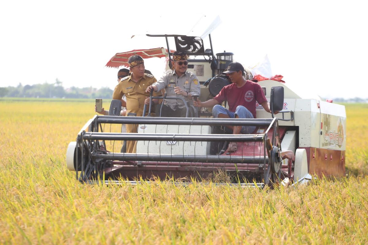 Ada Panen Raya Awal Tahun 2023, Mentan SYL Minta Bulog Segera Serap Gabah