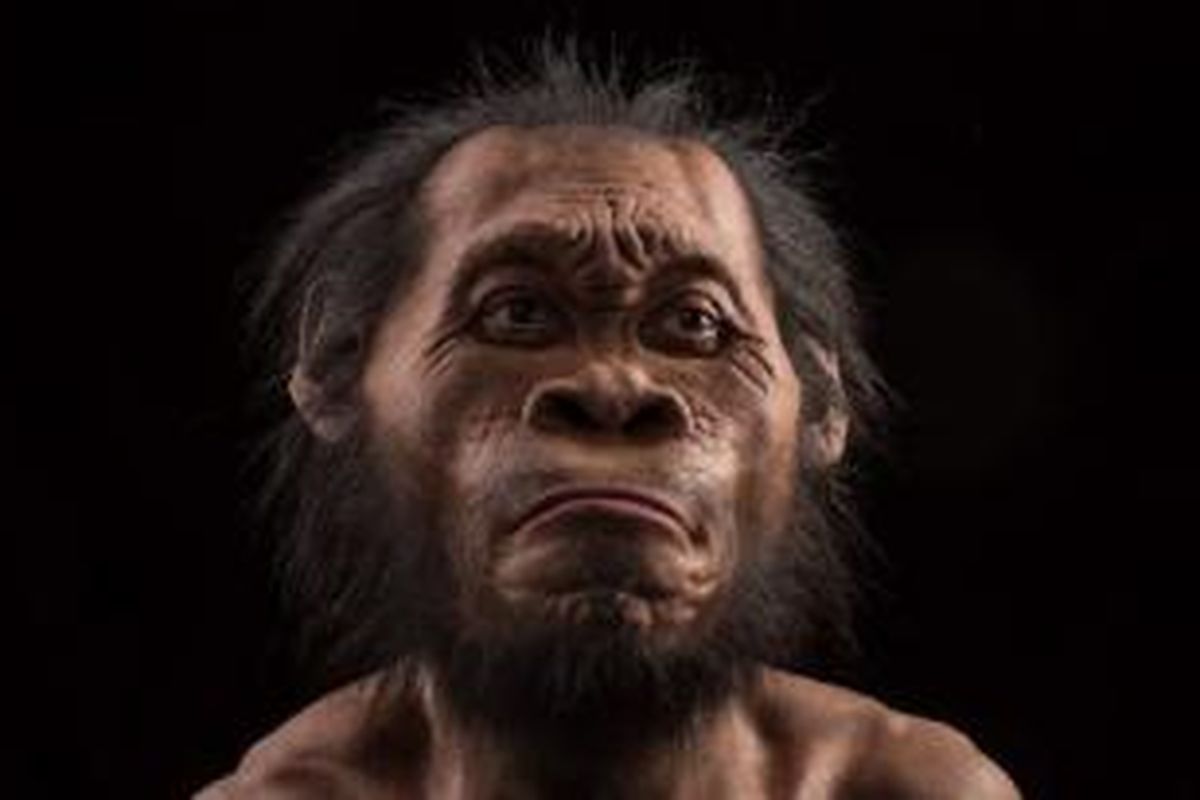 Homo naledi