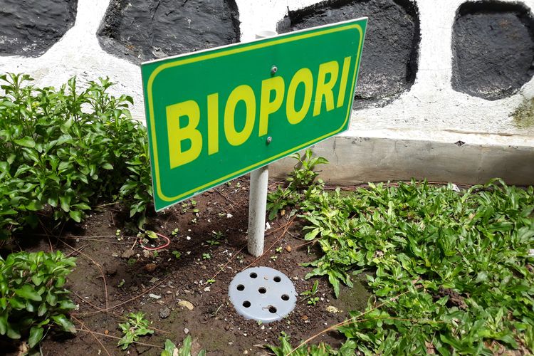 Lubang biopori dapat dibuat dengan mudah di halaman rumah.