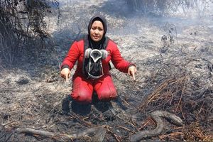 Sejumlah Media Malaysia Soroti Cara Indonesia Tangani Karhutla, Apa Kata Mereka?