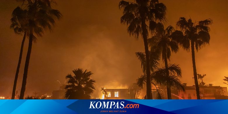 Kondisi Los Angeles Sebelum dan Sesudah Kebakaran Terungkap dari Citra Satelit