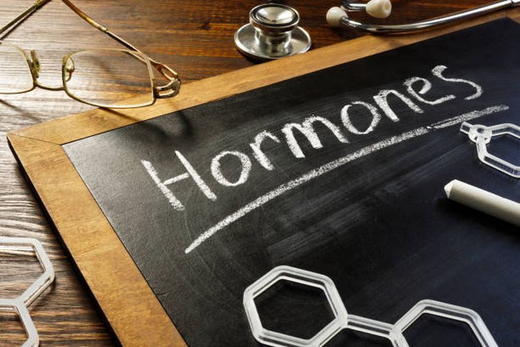 Pengertian hormon, jenis, dan fungsinya.