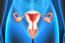 Mengenal Jenis-jenis Kista Ovarium Beserta Penanganannya