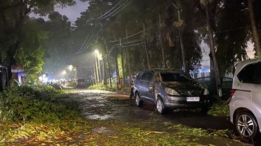 Dampak Angin Kencang di Malang, Pohon Tumbang Timpa 2 Mobil
