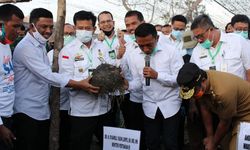 Mentan Dukung Budi Daya Porang yang Berpotensi Diekspor