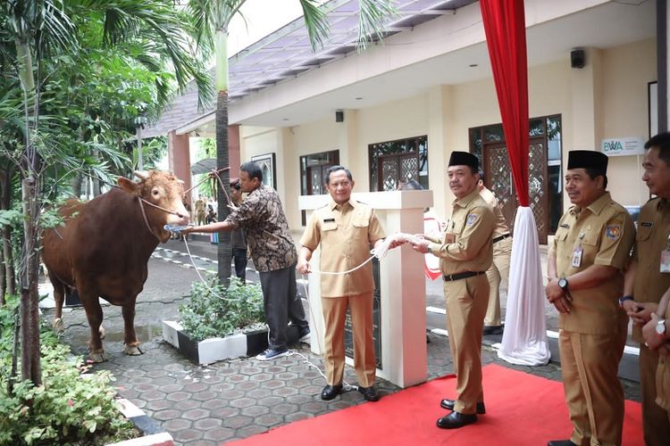 Sebanyak sembilan ekor sapi kurban Kemendagri akan dibagikan kepada organisasi keagamaan. Kemudian, dibagikan pula ke masyarakat di tiga wilayah perbatasan, yakni Serasan Kepulauan Riau, Motaain, dan Wini Nusa Tenggara Timur (NTT) dengan jumlah masing-masing satu ekor sapi.

