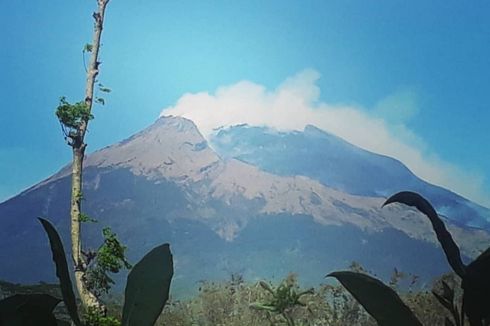 Luas Kebakaran Hutan di Gunung Sindoro Capai 245 Hektar
