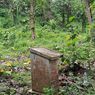 Cerita Warga soal Kuburan Massal Korban G30S di Tengah Hutan Semarang, Didatangi Orang Tengah Malam