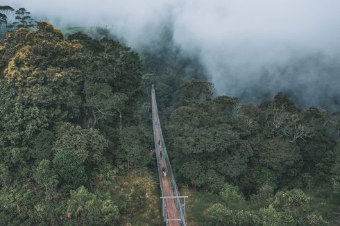 Harga Tiket Rengganis Suspension Bridge, Gratis untuk Warga 3 Kecamatan Ini