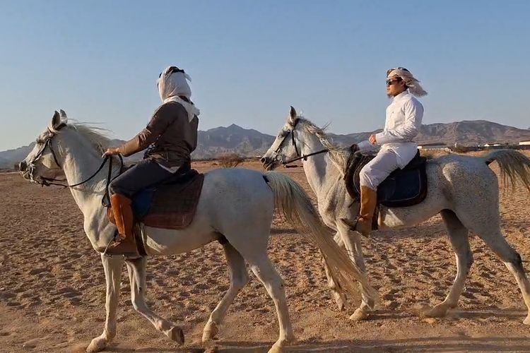 Sensasi Berkuda di Gurun Madinah: Wisata Spiritual Jemaah Indonesia