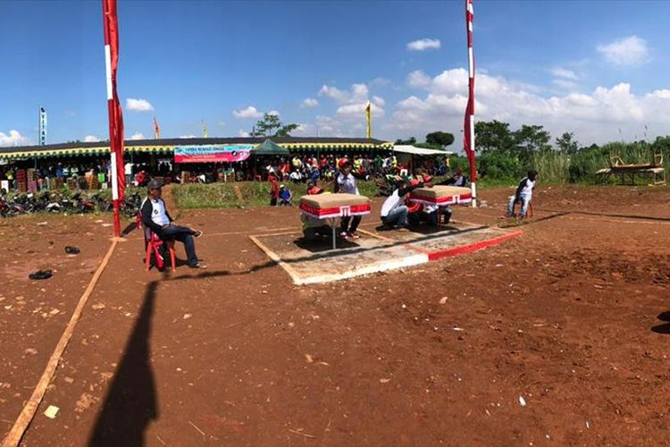 Lomba burung merpati tinggi kolong meja