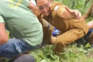 Bupati Situbondo Terjatuh Masuk Jurang Sedalam 4 Meter