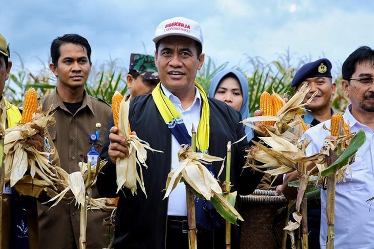 Mentan saat menghadiri panen jagung di Kalsel