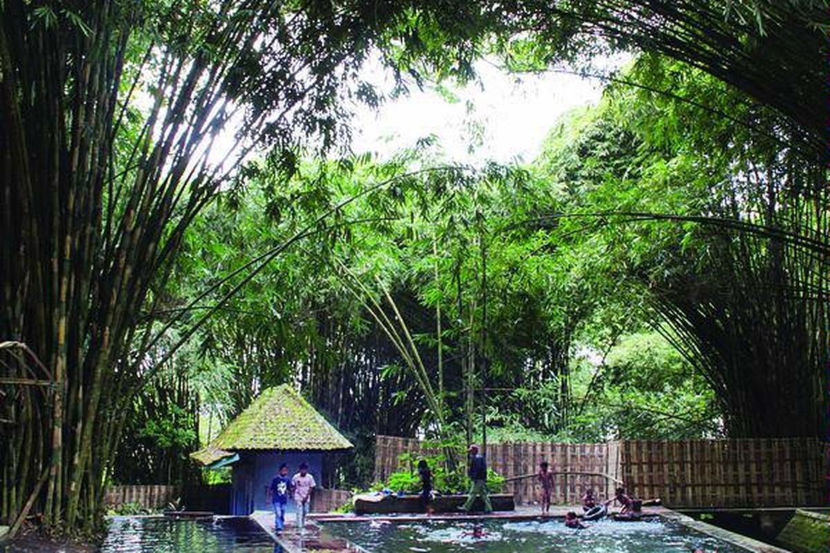 Hutan bambu di Desa Sumbermujur, Kecamatan Candipuro, Kabupaten Lumajang, menjadi pelindung mata air Sumber Delling di sana, Jumat (9/9). Mata air tersebut mengaliri desa-desa di lereng  timur Gunung Semeru.