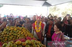 1 Ton Jeruk Dibagikan ke Wisatawan Saat Festival Bunga dan Buah di Karo 