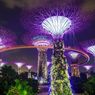 Liburan ke Gardens by the Bay Singapura Saat New Normal, Ini Ketentuannya