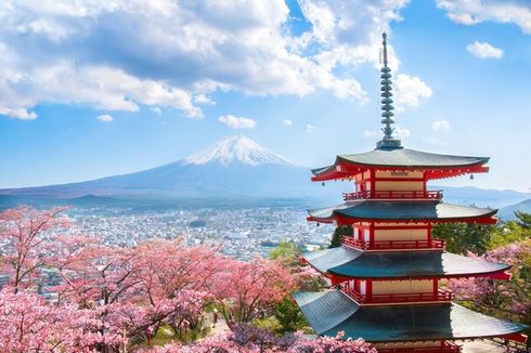 Waktu Terbaik ke Jepang, Bisa Lihat Sakura