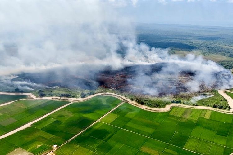 Karhutla Way Kambas Diselidiki, Posko Penanganan Segera Dibentuk