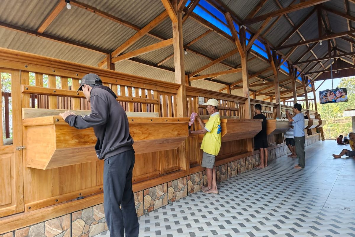 Kandang kambing mewah di Tuban, Jawa Timur.
