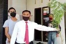 5 Kasus Warga Tanam Pohon Ganja, untuk Obati Ibunya hingga Ditanam di Kosan