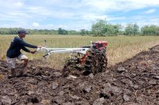 Kisah Petani Muda di Kalteng, antara Mimpi dan Kenyataan di Ladang