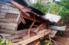 Masuk Permukiman, Kawanan Gajah Rusak Belasan Rumah di Tanggamus Lampung