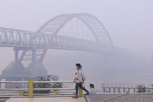 KLHK Pertimbangkan Rampas Keuntungan Korporasi Pembakar Lahan