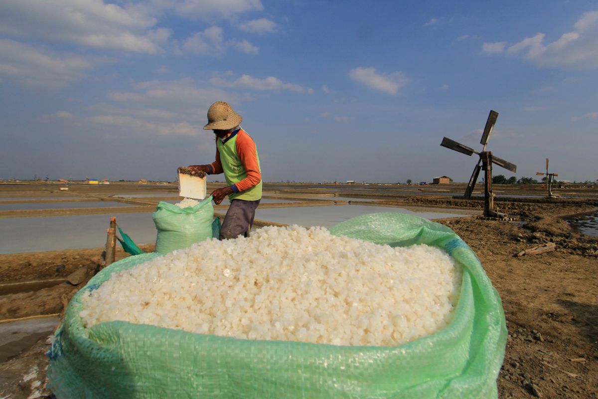 Petani memasukkan garam yang baru dipanen ke dalam karung di lahan garam Desa Santing, Losarang, Indramayu, Jawa Barat, Kamis (3/8). ANTARA FOTO/Dedhez Anggara/17.