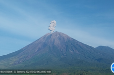 Gunung Semeru Erupsi Tujuh Kali, Kolom Abu Capai 1.000 Meter