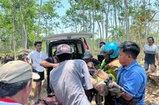 Pasutri Jadi Korban Kebakaran Lahan Tebu, Istri Tewas di Lokasi