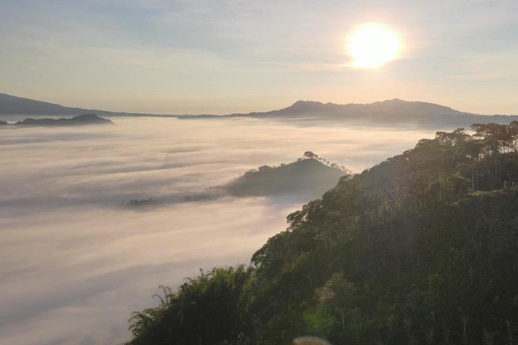 Ilustrasi Desa Wisata Temiangan Hill di Kabupaten Lampung Barat, Lampung.