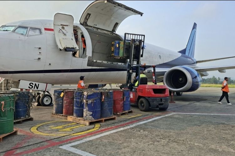 Kabut Asap Karhutla di Papua Pangkas Penerbangan Trigana Air hingga 50 Persen