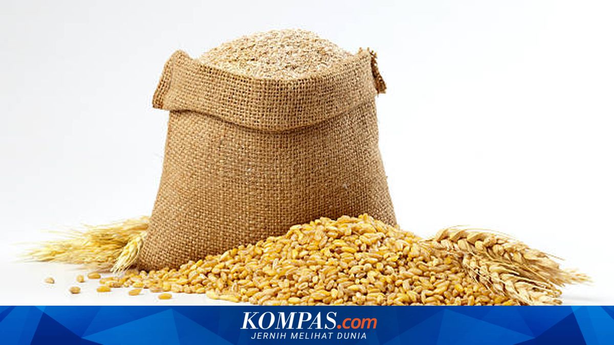 Ketika Makan Gratis Berubah Jadi Racun bagi Kekaisaran Romawi