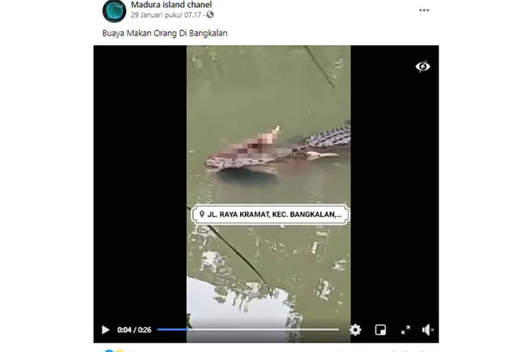 Tangkapan layar video yang menampilkan seekor buaya tengah membawa kaki manusia dan menuliskan bahwa buaya itu memakan seseorang di Bangkalan.